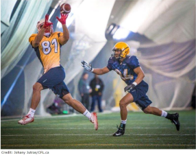 Screen Shot 2015-04-06 at 1.04.07 PM